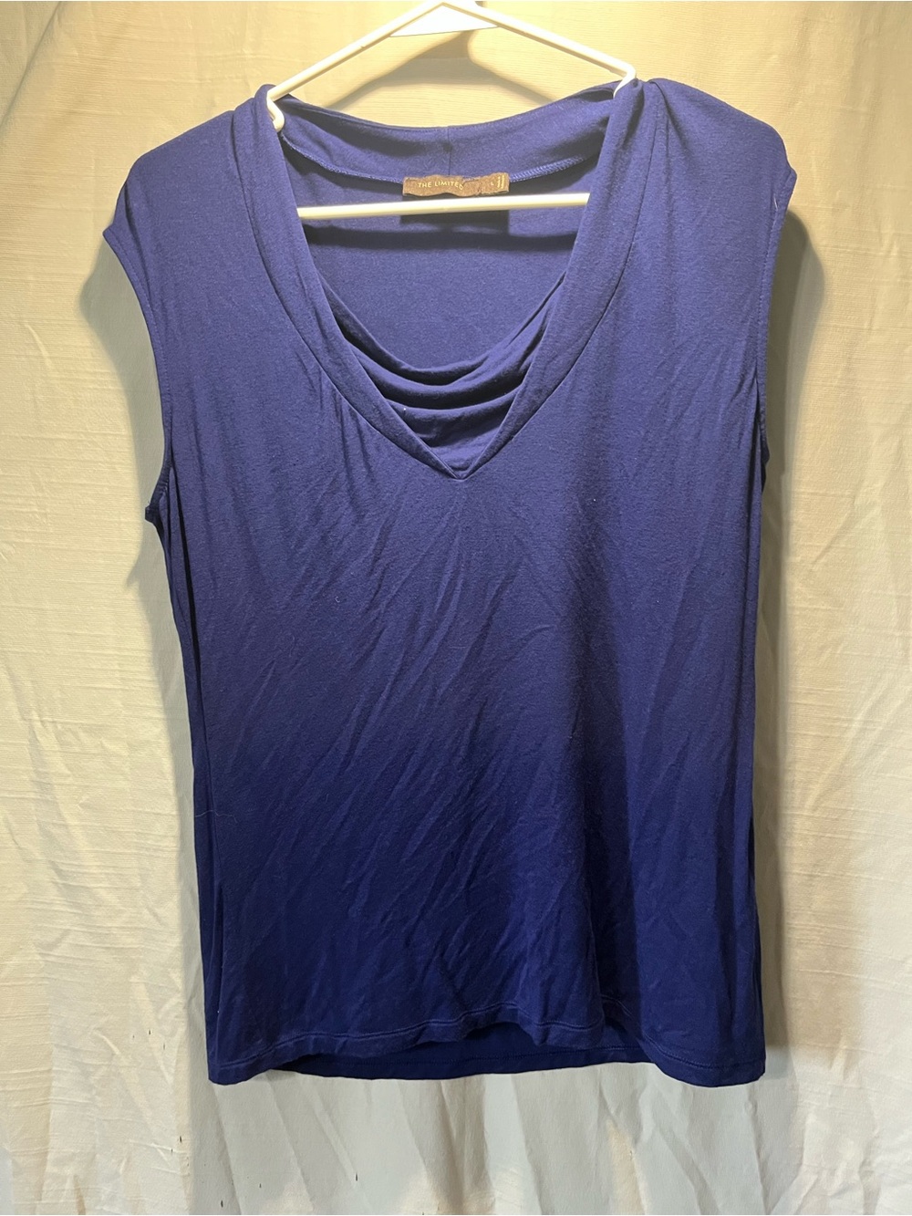 The Limited Sleeveless Cowl Neck Tank Top in Blue